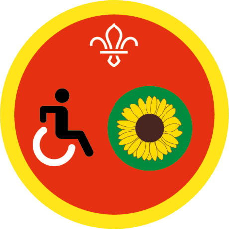 Cubs Disability Awareness Badge