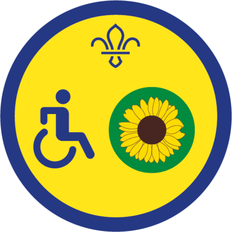 Beavers Disability Awareness Badge